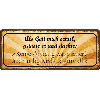 Schild Spruch "Als Gott mich schuf, grinste er" 27 x 10 cm Blechschild