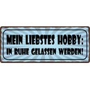 Schild Spruch "Liebstes Hobby, in Ruhe gelassen...