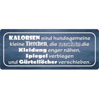 Schild Spruch "Kalorien sind hundsgemeine Tierchen" 27 x 10 cm Blechschild