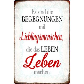 Schild Spruch "Begegnungen mit Lieblingsmenschen" 20 x 30 cm Blechschild