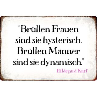 Schild Spruch "Brüllen Frauen sind sie hysterisch" 30 x 20 cm Blechschild