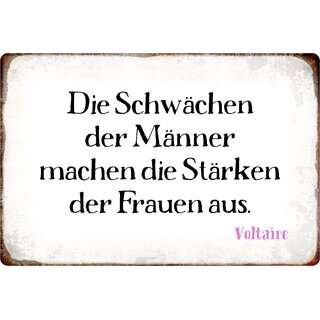 Schild Spruch "Die Schwächen der Männer" 30 x 20 cm Blechschild