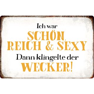 Schild Spruch "Ich war schön, reich und sexy, Wecker" 30 x 20 cm Blechschild