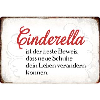Schild Spruch "Cinderella ist der Beweis" 30 x 20 cm Blechschild