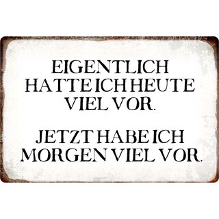 Schild Spruch "Eigentlich hatte ich heute viel vor" 30 x 20 cm Blechschild