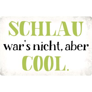Schild Spruch "Schlau wars nicht aber cool" 30 x 20 cm Blechschild