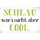 Schild Spruch "Schlau wars nicht aber cool" 30 x 20 cm Blechschild