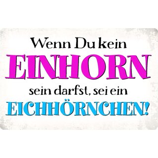 Schild Spruch "Kein Einhorn, sei ein Eichhörnchen" 30 x 20 cm Blechschild