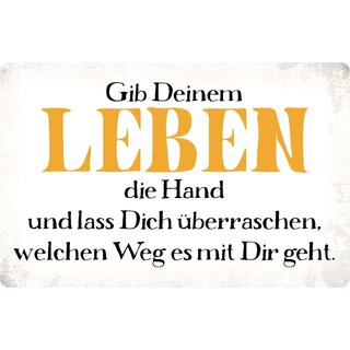 Schild Spruch "Gib deinem Leben die Hand" 30 x 20 cm Blechschild