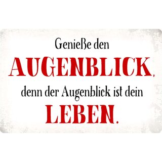 Schild Spruch "Genieße den Augenblick" 30 x 20 cm Blechschild