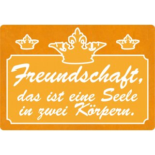 Schild Spruch "Freundschaft Seele in zwei Körpern" 30 x 20 cm Blechschild