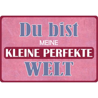 Schild Spruch "Du bist meine kleine perfekte Welt" 30 x 20 cm Blechschild