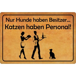 Schild Spruch "Nur Hunde haben Besitzer, Katzen Personal" 30 x 20 cm Blechschild