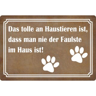 Schild Spruch "Tolle an Haustieren, man nie der faulste ist" 30 x 20 cm Blechschild