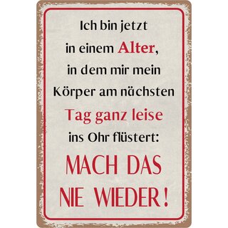 Schild Spruch "Körper flüstert, mach das nie wieder" 20 x 30 cm Blechschild