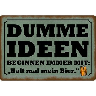 Schild Spruch "Dumme Ideen, halt mal mein Bier" 30 x 20 cm Blechschild