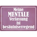 Schild Spruch "Meine mentale Verfassung ist...