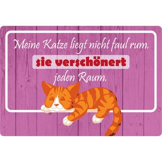 Schild Spruch "Katze liegt nicht rum, verschönert Raum" 30 x 20 cm Blechschild