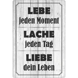 Schild Spruch "Lebe jeden Moment. Lache jeden Tag. Liebe Dein Leben." 20 x 30 cm Blechschild