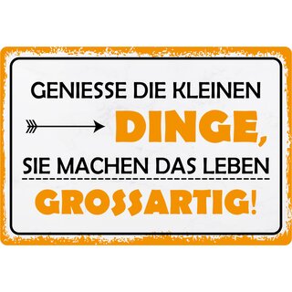 Schild Spruch "Genieße die kleinen Dinge" 30 x 20 cm Blechschild