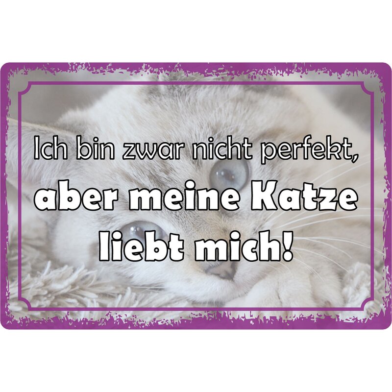 Schild Spruch "Ich nicht perfekt, Katze liebt mich" 30 x 20 cm Blechs