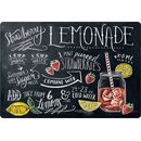 Schild Motiv Strawberry Lemonade 30 x 20 cm Blechschild