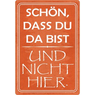 Schild Spruch "Schön dass du da bist und nicht hier." 20 x 30 cm Blechschild