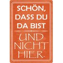 Schild Spruch "Schön dass du da bist und nicht...