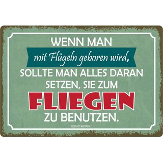 Schild Spruch "Wenn man mit Flügeln geboren wird" 30 x 20 cm Blechschild