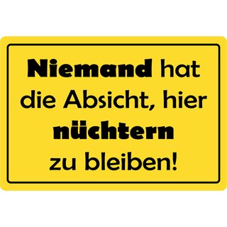 Schild Spruch "Niemand hat Absicht nüchtern zu bleiben" 30 x 20 cm Blechschild