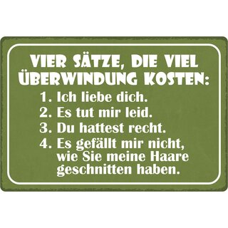 Schild Spruch "Vier Sätze, die viel Überwindung kosten" 30 x 20 cm Blechschild