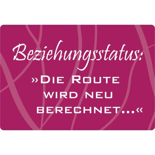 Schild Spruch "Beziehungsstatus: Die Route wird neu berechnet" 30 x 20 cm Blechschild