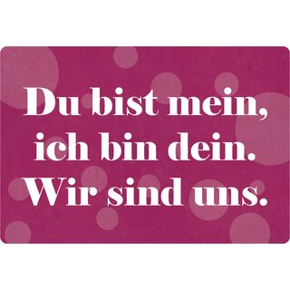 Schild Spruch "Du bist mein, ich bin dein, wir sind uns" 30 x 20 cm Blechschild