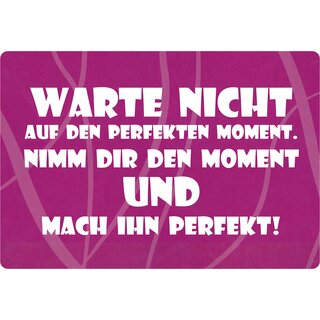 Schild Spruch "Warte nicht auf den perfekten Moment" 30 x 20 cm Blechschild