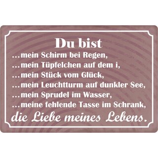 Schild Spruch "Du bist die Liebe meines Lebens" 30 x 20 cm Blechschild