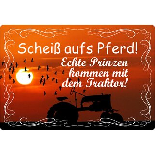 Schild Spruch "Echte Prinzen kommen mit dem Traktor" 30 x 20 cm Blechschild
