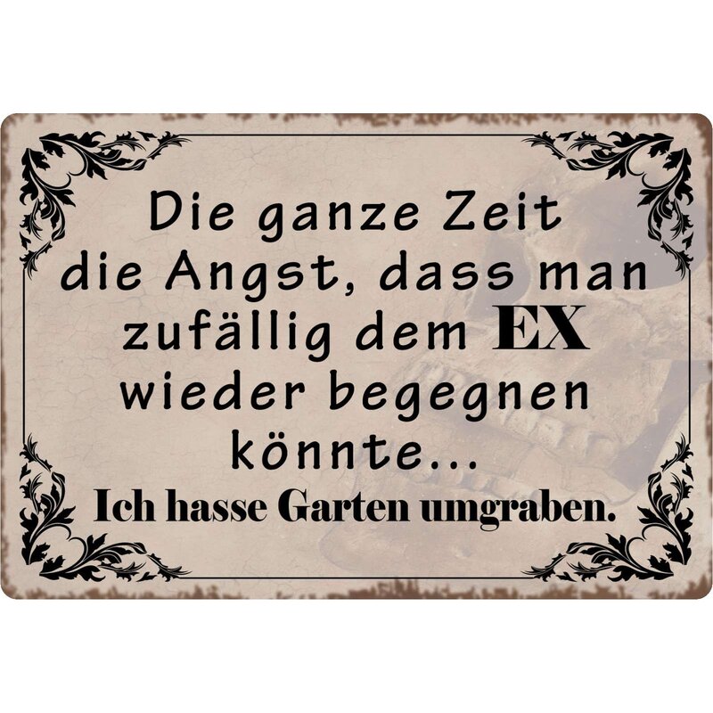 Schild Spruch "Angst, dem Ex wieder begegnen" 30 x 20 cm Blechschild,