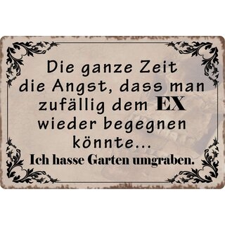 Schild Spruch "Angst, dem Ex wieder begegnen" 30 x 20 cm Blechschild