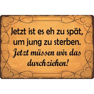 Schild Spruch "Zu spät um jung zu sterben" 30 x 20 cm Blechschild