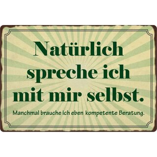Schild Spruch "Natürlich spreche ich mit mir selbst" 30 x 20 cm Blechschild
