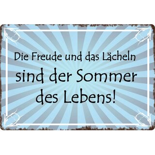 Schild Spruch "Freude und Lächeln sind Sommer des Lebens" 30 x 20 cm Blechschild
