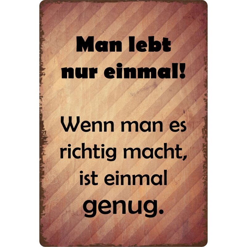 Schild Spruch "Man lebt nur einmal" 20 x 30 cm Blechschild, 9,49