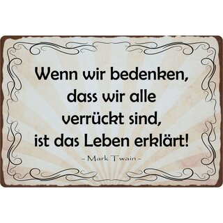 Schild Spruch "Wenn wir bedenken, dass alle verrückt sind" 30 x 20 cm Blechschild