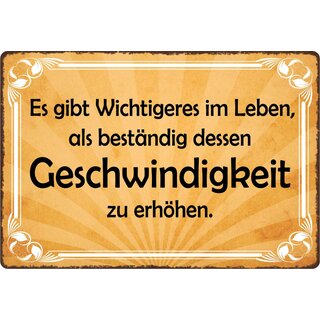 Schild Spruch "Wichtigeres im Leben als dessen Geschwindigkeit zu erhöhen" 30 x 20 cm Blechschild