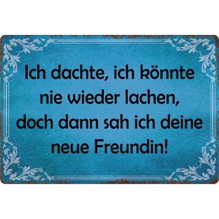 Schild Spruch "Ich dachte, ich könnte nie wieder lachen, Freundin" 30 x 20 cm Blechschild