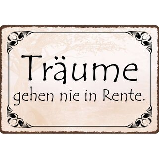 Schild Spruch "Träume gehen nie in Rente" 30 x 20 cm Blechschild