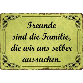 Schild Spruch "Freunde sind Familie die wir uns aussuchen" 30 x 20 cm Blechschild