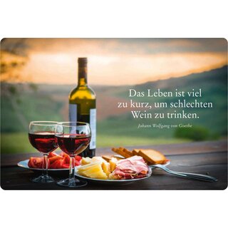 Schild Spruch "Das Leben ist zu kurz um schlechten Wein zu trinken" 30 x 20 cm Blechschild