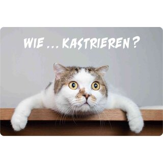Schild Spruch "Wie Kastrieren? Katze" 30 x 20 cm Blechschild