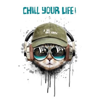 Schild Spruch "Chill your life" 20 x 30 cm Blechschild